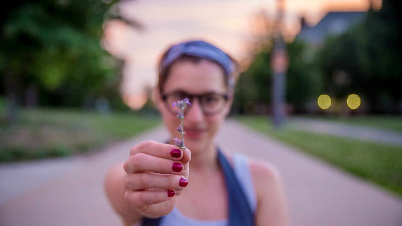 What Is The Best Alternative To The Raspberry Pi?