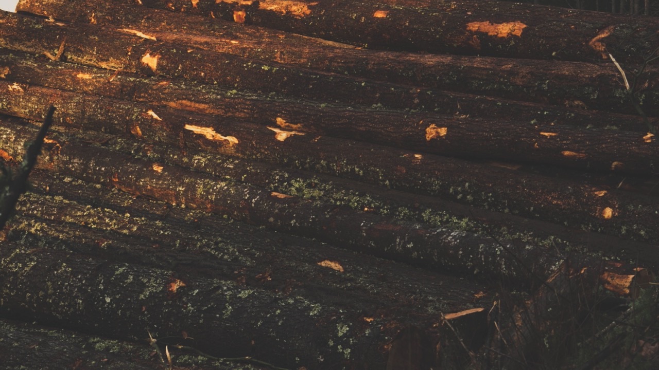 What Professional Buyers Look for When Evaluating a Grinder Wear Parts Supplier