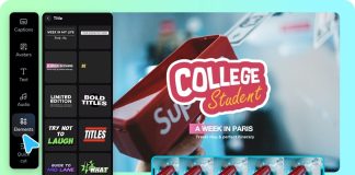 Top Features of the Best Free Video Logo Maker